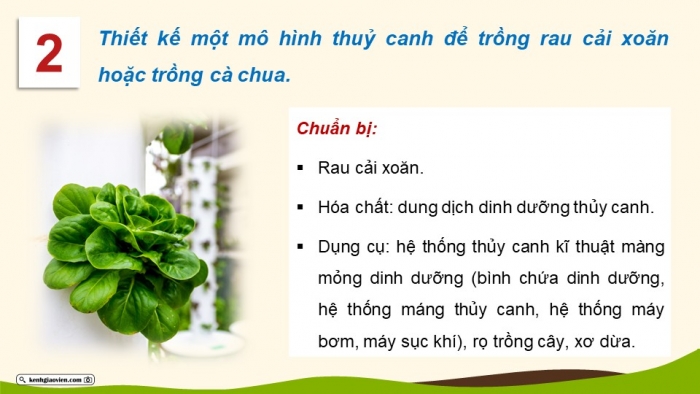 Giáo án điện tử chuyên đề Sinh học 11 cánh diều Ôn tập CĐ 1