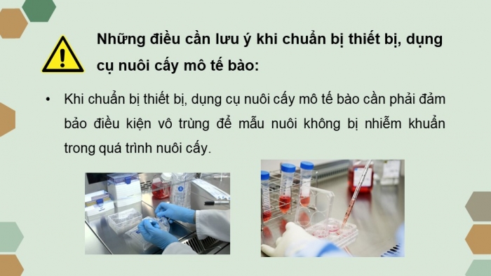 Giáo án powerpoint chuyên đề Sinh học 10 chân trời sáng tạo