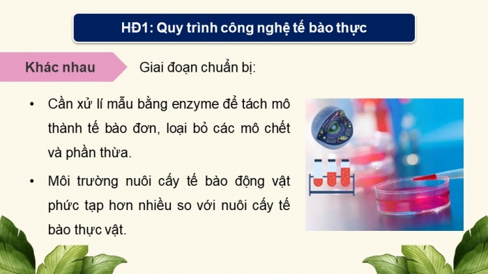 Giáo án điện tử chuyên đề Sinh học 10 chân trời Bài 3: Công nghệ tế bào động vật và thành tựu