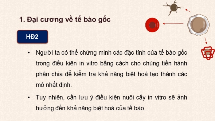 Giáo án điện tử chuyên đề Sinh học 10 chân trời Bài 4: Tế bào gốc và công nghệ tế bào gốc