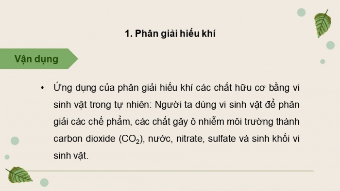 Giáo án điện tử chuyên đề Sinh học 10 chân trời Bài 11: Vi sinh vật trong phân huỷ các hợp chất