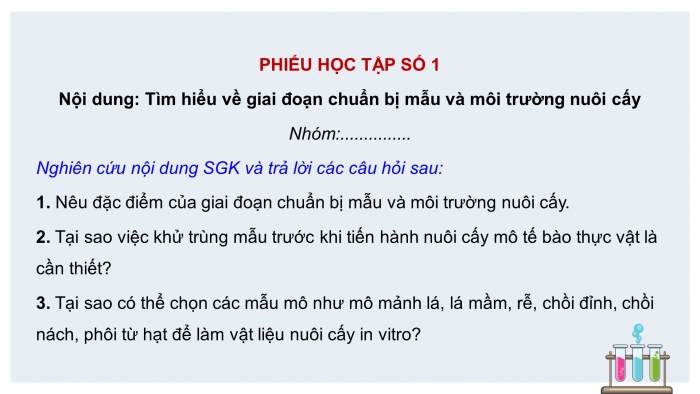 Giáo án điện tử chuyên đề Sinh học 10 cánh diều Bài 3: Các giai đoạn của công nghệ tế bào thực vật