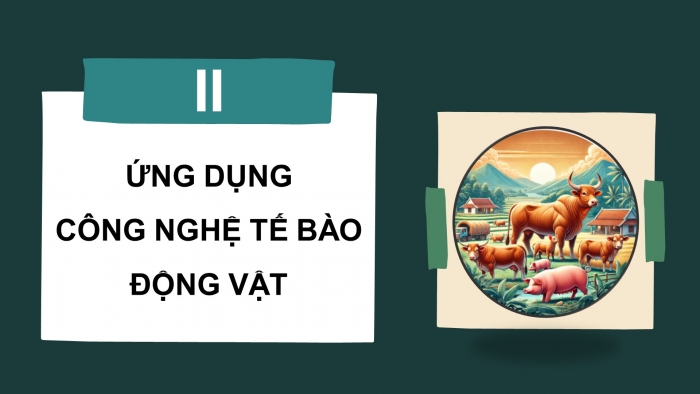 Giáo án điện tử chuyên đề Sinh học 10 cánh diều Bài 4: Cơ sở công nghệ tế bào động vật và ứng dụng