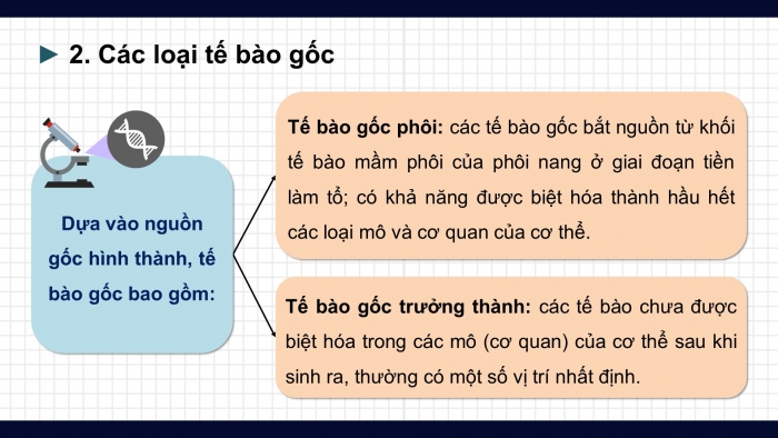 Giáo án điện tử chuyên đề Sinh học 10 cánh diều Bài 6: Công nghệ tế bào gốc và ứng dụng