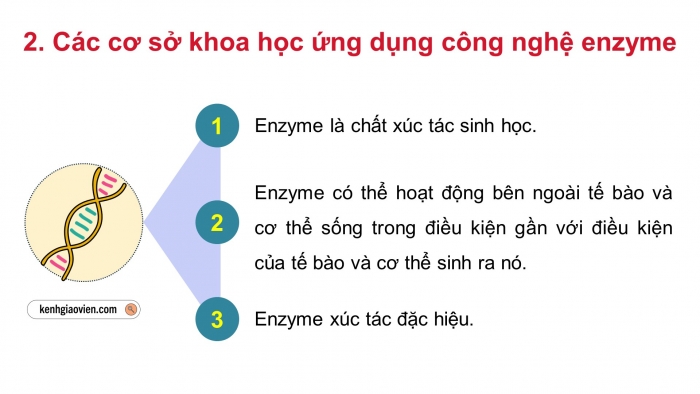 Giáo án điện tử chuyên đề Sinh học 10 cánh diều Bài 7: Cơ sở khoa học và một số thành tựu của công nghệ enzyme