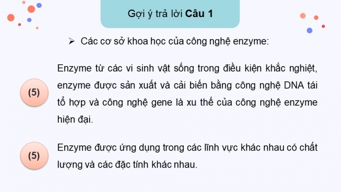 Giáo án điện tử chuyên đề Sinh học 10 cánh diều Ôn tập CĐ 2