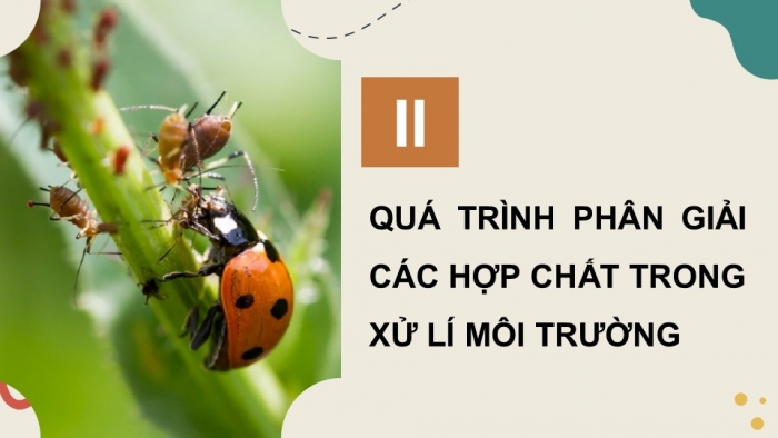 Giáo án điện tử chuyên đề Sinh học 10 cánh diều Bài 11: Khái quát về vi sinh vật trong xử lí ô nhiễm môi trường