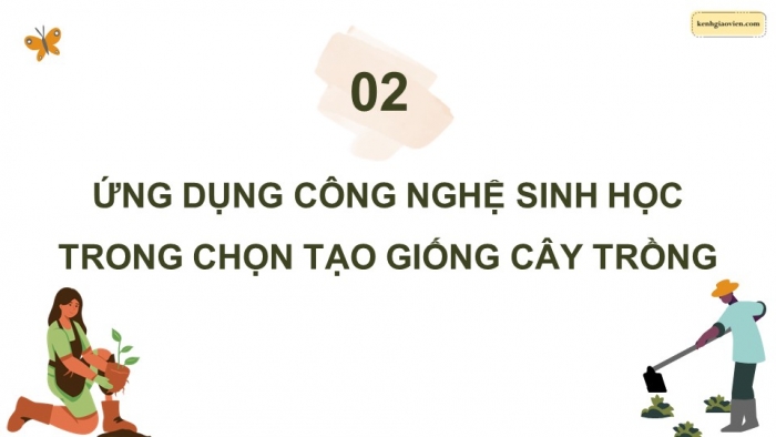 Giáo án điện tử chuyên đề Công nghệ trồng trọt 10 cánh diều Bài 3: Ứng dụng công nghệ sinh học trong chọn tạo giống cây trồng