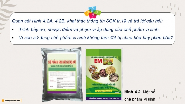 Giáo án điện tử chuyên đề Công nghệ trồng trọt 10 cánh diều Bài 4: Ứng dụng công nghệ sinh học trong sản xuất chế phẩm sinh học