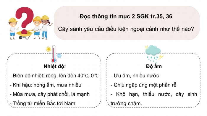 Giáo án điện tử chuyên đề Công nghệ trồng trọt 10 cánh diều Bài 8: Kĩ thuật trồng, chăm sóc và tạo hình cây sanh