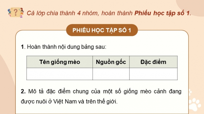 Giáo án điện tử chuyên đề Công nghệ chăn nuôi 11 kết nối Bài 8: Kĩ thuật nuôi dưỡng và chăm sóc mèo cảnh