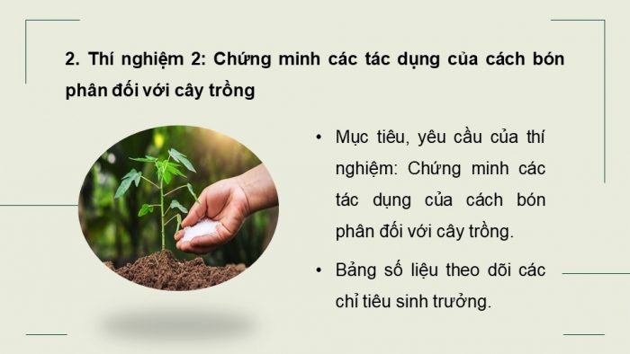 Giáo án điện tử chuyên đề Sinh học 11 chân trời Bài 4: Thực hành Chứng minh tác dụng của phân bón đối với sinh trưởng, phát triển và năng suất cây trồng