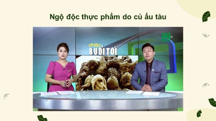 Giáo án điện tử chuyên đề Sinh học 11 chân trời Bài 11: Ngộ độc thực phẩm