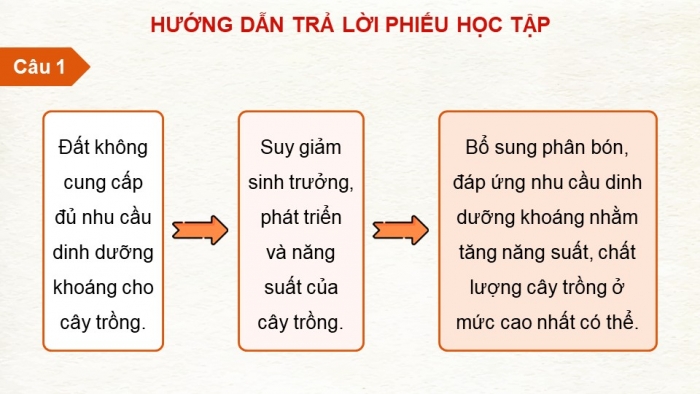 Giáo án điện tử chuyên đề Sinh học 11 cánh diều Bài 1: Nguyên tắc sử dụng khoáng tăng năng suất cây trồng