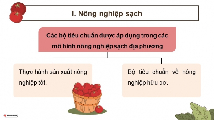 Giáo án điện tử chuyên đề Sinh học 11 cánh diều Bài 2: Nông nghiệp sạch