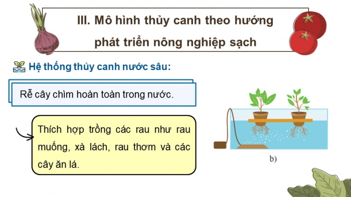 Giáo án điện tử chuyên đề Sinh học 11 cánh diều Bài 2: Nông nghiệp sạch (P2)