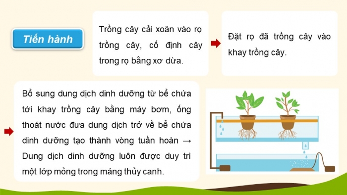 Giáo án điện tử chuyên đề Sinh học 11 cánh diều Ôn tập CĐ 1