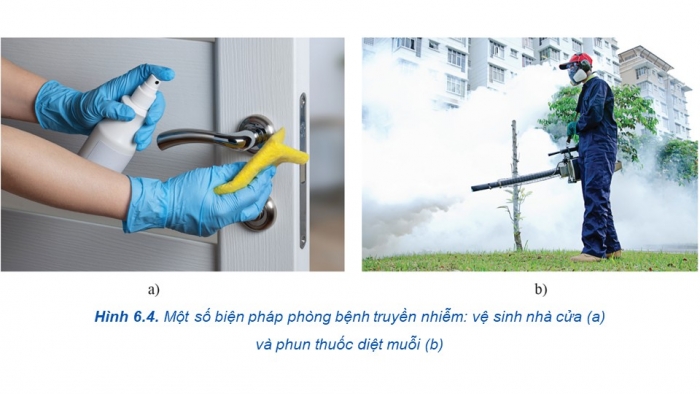 Giáo án điện tử chuyên đề Sinh học 11 cánh diều Bài 6: Các biện pháp phòng chống bệnh dịch ở người