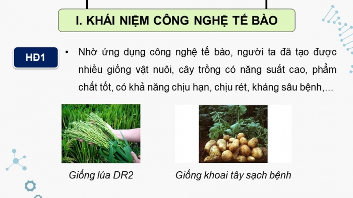 Giáo án điện tử chuyên đề Sinh học 10 chân trời Bài 1: Khái quát về công nghệ tế bào