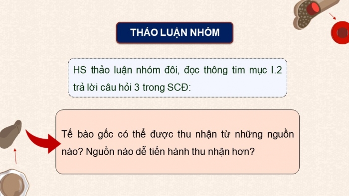 Giáo án điện tử chuyên đề Sinh học 10 chân trời Bài 4: Tế bào gốc và công nghệ tế bào gốc