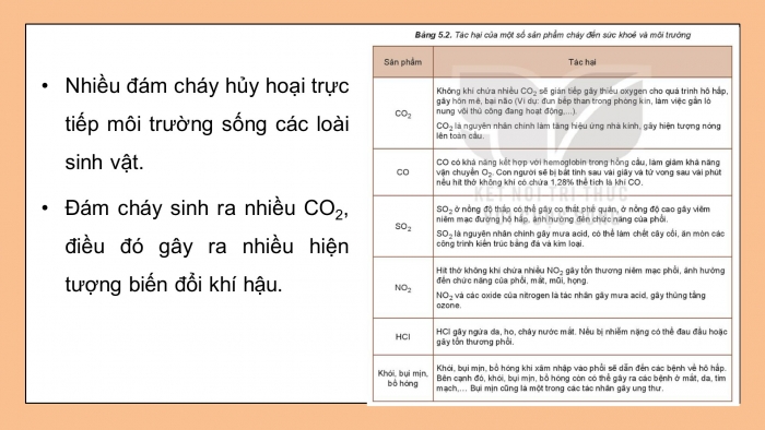 Giáo án điện tử chuyên đề Hoá học 10 cánh diều Bài 5: Sơ lược về phản ứng cháy và nổ