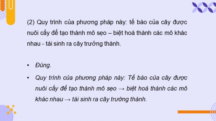 Giáo án điện tử chuyên đề Sinh học 10 chân trời Ôn tập CĐ 1