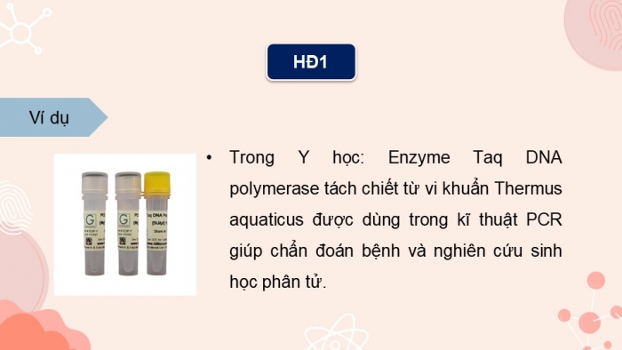 Giáo án điện tử chuyên đề Sinh học 10 chân trời Bài 6: Thành tựu của công nghệ enzyme