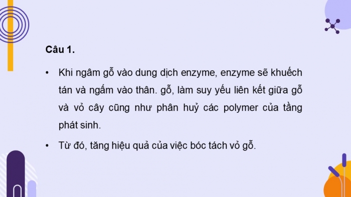 Giáo án điện tử chuyên đề Sinh học 10 chân trời Ôn tập CĐ 2