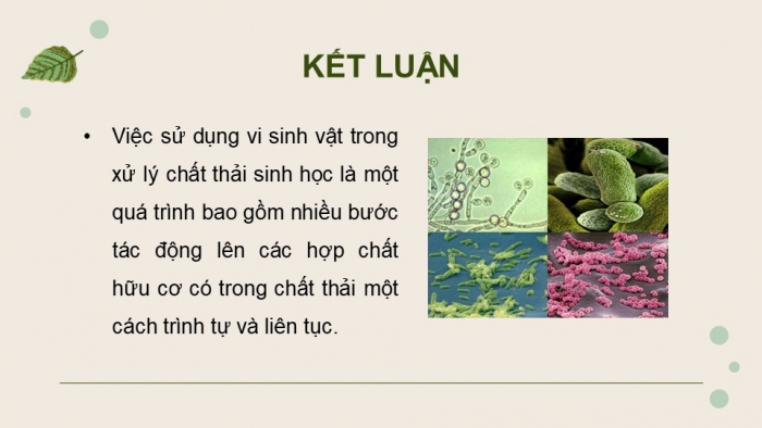 Giáo án điện tử chuyên đề Sinh học 10 chân trời Bài 11: Vi sinh vật trong phân huỷ các hợp chất