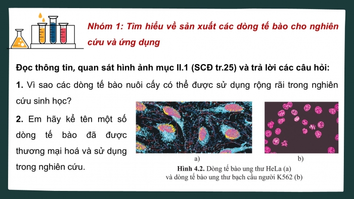 Giáo án điện tử chuyên đề Sinh học 10 cánh diều Bài 4: Cơ sở công nghệ tế bào động vật và ứng dụng