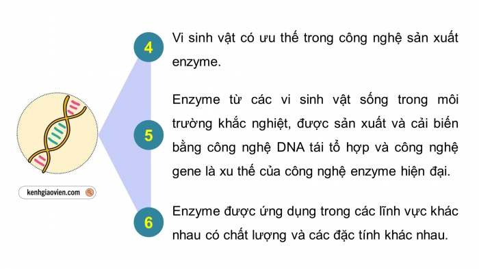 Giáo án điện tử chuyên đề Sinh học 10 cánh diều Bài 7: Cơ sở khoa học và một số thành tựu của công nghệ enzyme