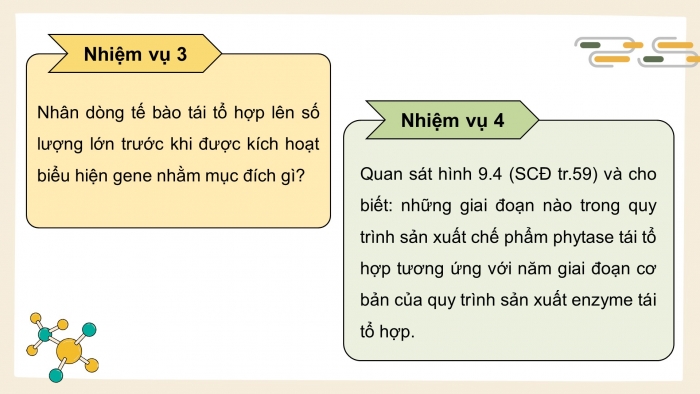 Giáo án điện tử chuyên đề Sinh học 10 cánh diều Bài 9: Sản xuất enzyme tái tổ hợp