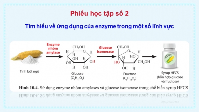 Giáo án điện tử chuyên đề Sinh học 10 cánh diều Bài 10: Ứng dụng và triển vọng của công nghệ enzyme