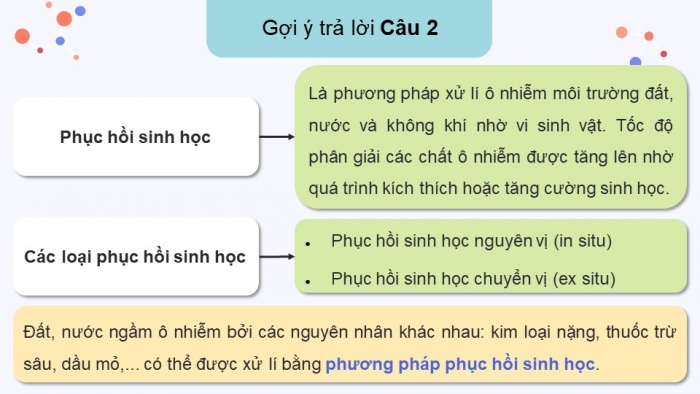 Giáo án điện tử chuyên đề Sinh học 10 cánh diều Ôn tập CĐ 3