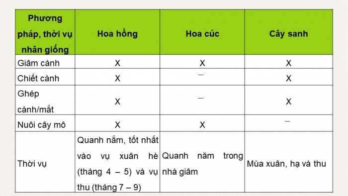 Giáo án điện tử chuyên đề Công nghệ trồng trọt 10 cánh diều Ôn tập CĐ 2