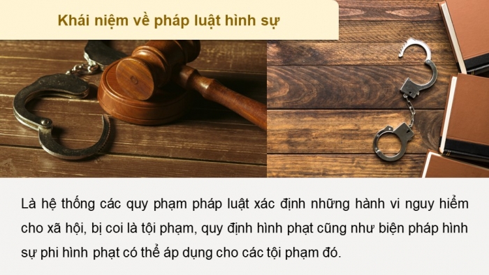 Giáo án điện tử chuyên đề Kinh tế pháp luật 10 cánh diều Bài 9: Khái niệm, các nguyên tắc của pháp luật hình sự