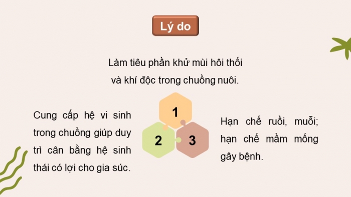 Giáo án điện tử chuyên đề Công nghệ chăn nuôi 11 kết nối Bài 5: Ứng dụng công nghệ sinh học trong sản xuất đệm lót sinh học