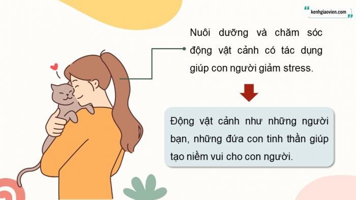 Giáo án điện tử chuyên đề Công nghệ chăn nuôi 11 kết nối Bài 6: Giới thiệu về động vật cảnh