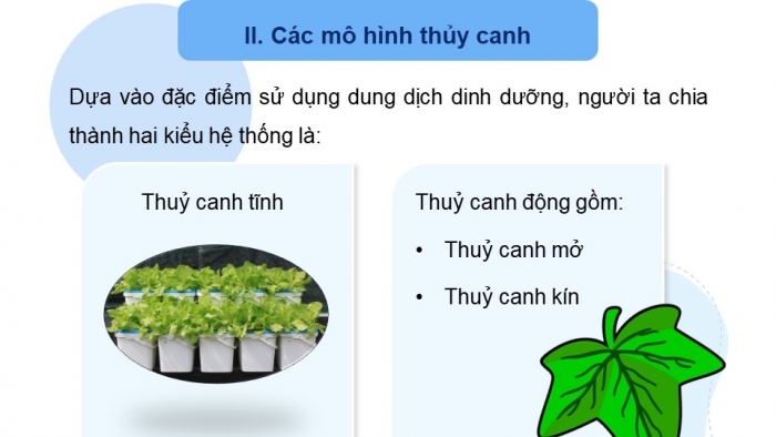 Giáo án điện tử chuyên đề Sinh học 11 chân trời Bài 3: Thuỷ canh theo hướng phát triển nông nghiệp sạch