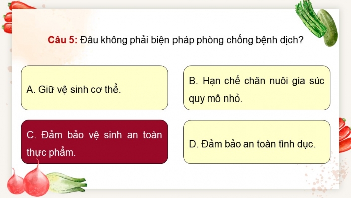 Giáo án điện tử chuyên đề Sinh học 11 chân trời Ôn tập CĐ 2