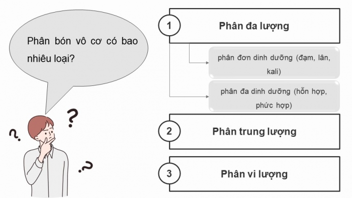 Giáo án điện tử chuyên đề Hoá học 11 cánh diều Bài 2: Phân bón vô cơ