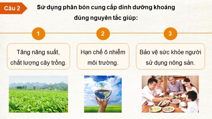 Giáo án điện tử chuyên đề Sinh học 11 cánh diều Bài 1: Nguyên tắc sử dụng khoáng tăng năng suất cây trồng