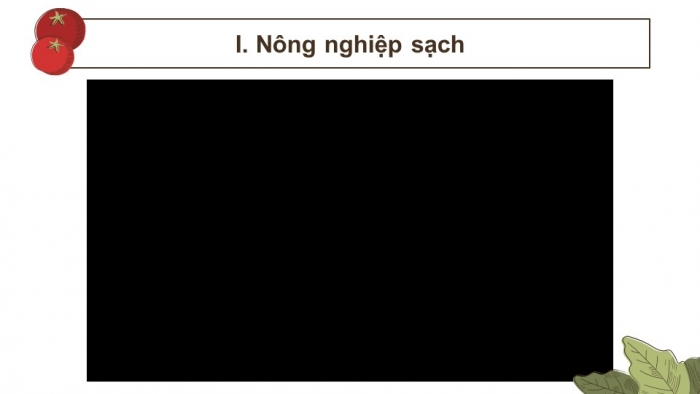 Giáo án điện tử chuyên đề Sinh học 11 cánh diều Bài 2: Nông nghiệp sạch