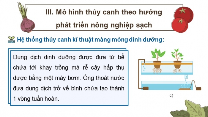 Giáo án điện tử chuyên đề Sinh học 11 cánh diều Bài 2: Nông nghiệp sạch (P2)