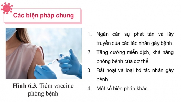 Giáo án điện tử chuyên đề Sinh học 11 cánh diều Bài 6: Các biện pháp phòng chống bệnh dịch ở người