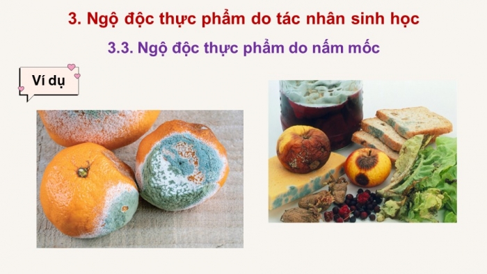 Giáo án điện tử chuyên đề Sinh học 11 cánh diều Bài 8: Vệ sinh an toàn thực phẩm và nguyên nhân gây ngộ độc thực phẩm (P2)