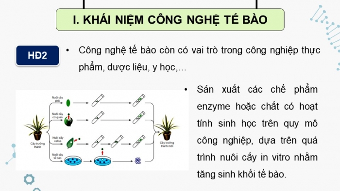 Giáo án điện tử chuyên đề Sinh học 10 chân trời Bài 1: Khái quát về công nghệ tế bào