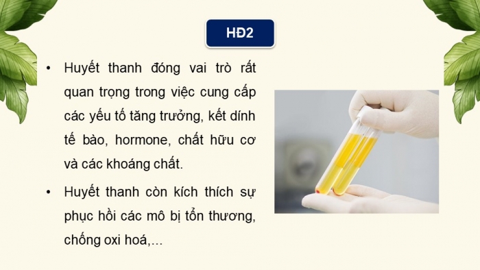 Giáo án điện tử chuyên đề Sinh học 10 chân trời Bài 3: Công nghệ tế bào động vật và thành tựu