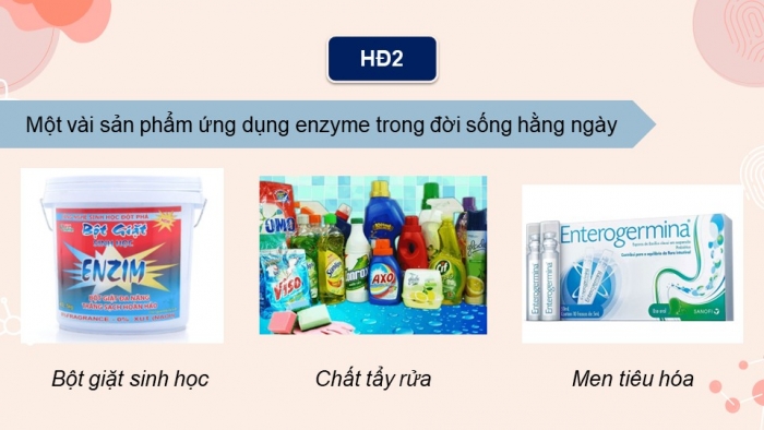 Giáo án điện tử chuyên đề Sinh học 10 chân trời Bài 6: Thành tựu của công nghệ enzyme