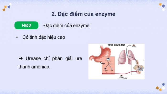 Giáo án điện tử chuyên đề Sinh học 10 chân trời Bài 7: Quy trình công nghệ sản xuất enzyme